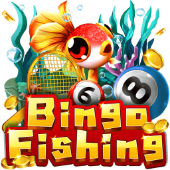 Câu Cá Bingo QN88
